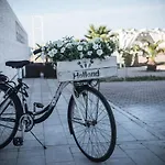 Torquemada Club Bed & Breakfast 4*